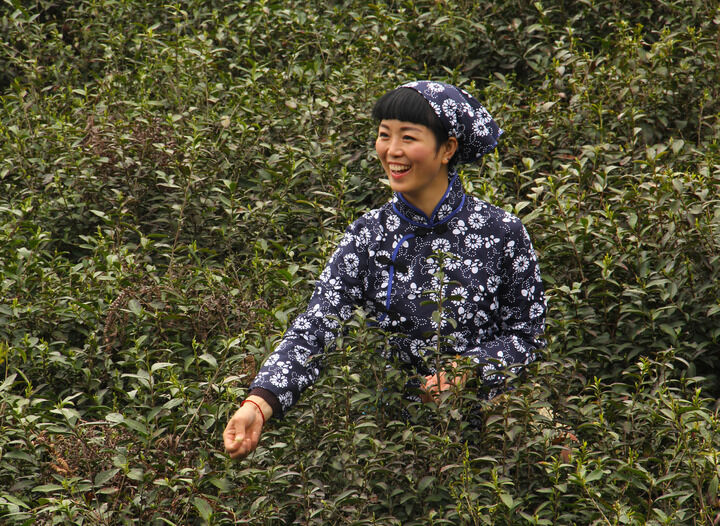我推的孩子